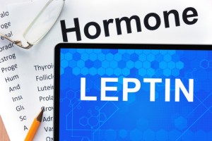 leptin