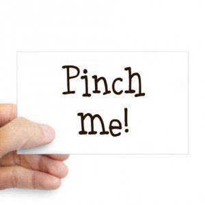 pinch_me_sticker_rectangle